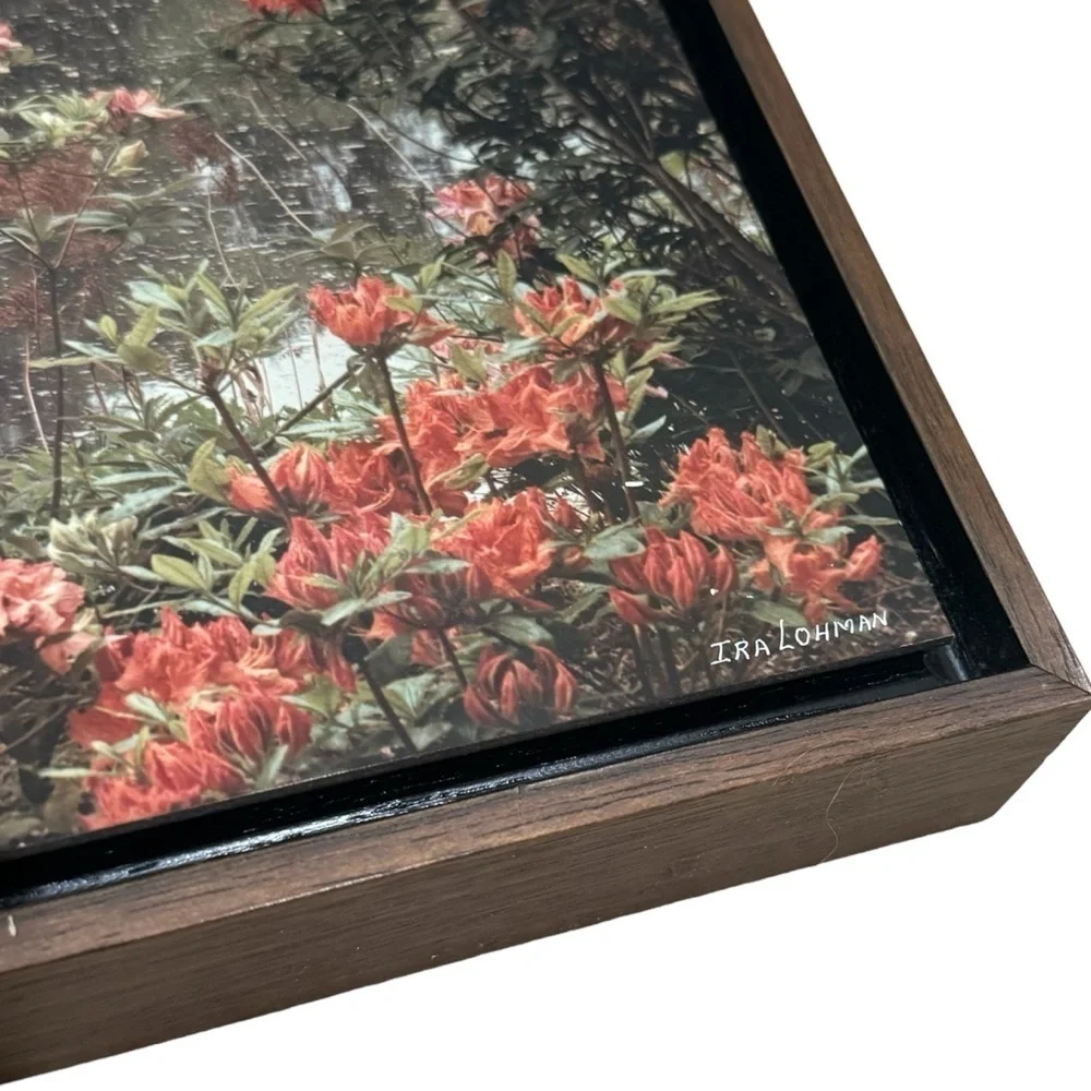Lohman Photography‎ Coral Azaleas Exbury Gardens  Custom Wood Frame Print 12x15